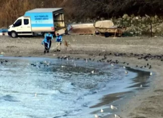 İstanbul Avcılar Ambarlı Sahili'nde deniz yaklaşık 15 metre çekildi