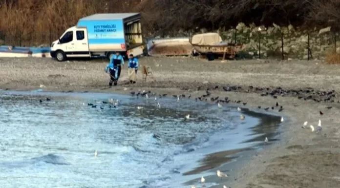İstanbul Avcılar Ambarlı Sahili’nde deniz yaklaşık 15 metre çekildi İstanbul Avcılar Ambarlı Sahili'nde deniz yaklaşık 15 metre çekildi