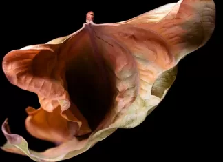 Kadınların idrar yolları enfeksiyonu (İYE) şikayetleri neden dikkate alınmıyor?