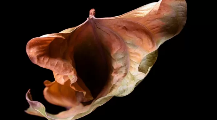 Kadınların idrar yolları enfeksiyonu (İYE) şikayetleri neden dikkate alınmıyor?