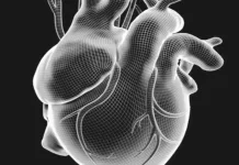 Atriyal fibrilasyon hakkında: belirtiler, nedenler ve tanı